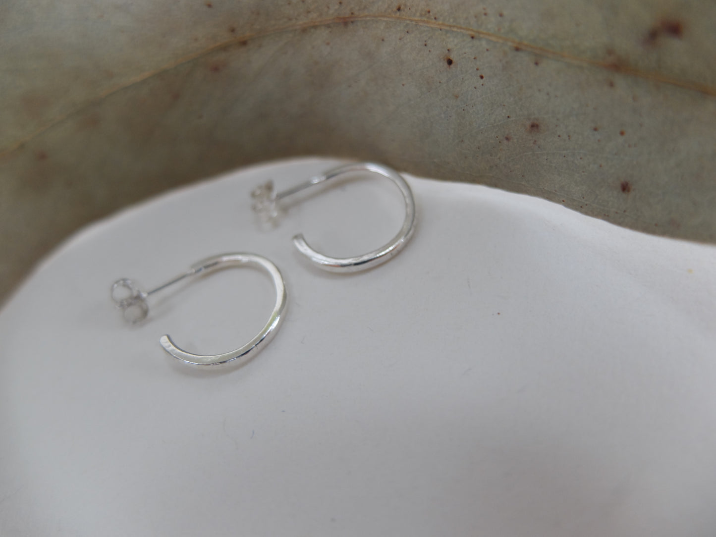 Silver hoop earrings on a white surface with a leaf in the background