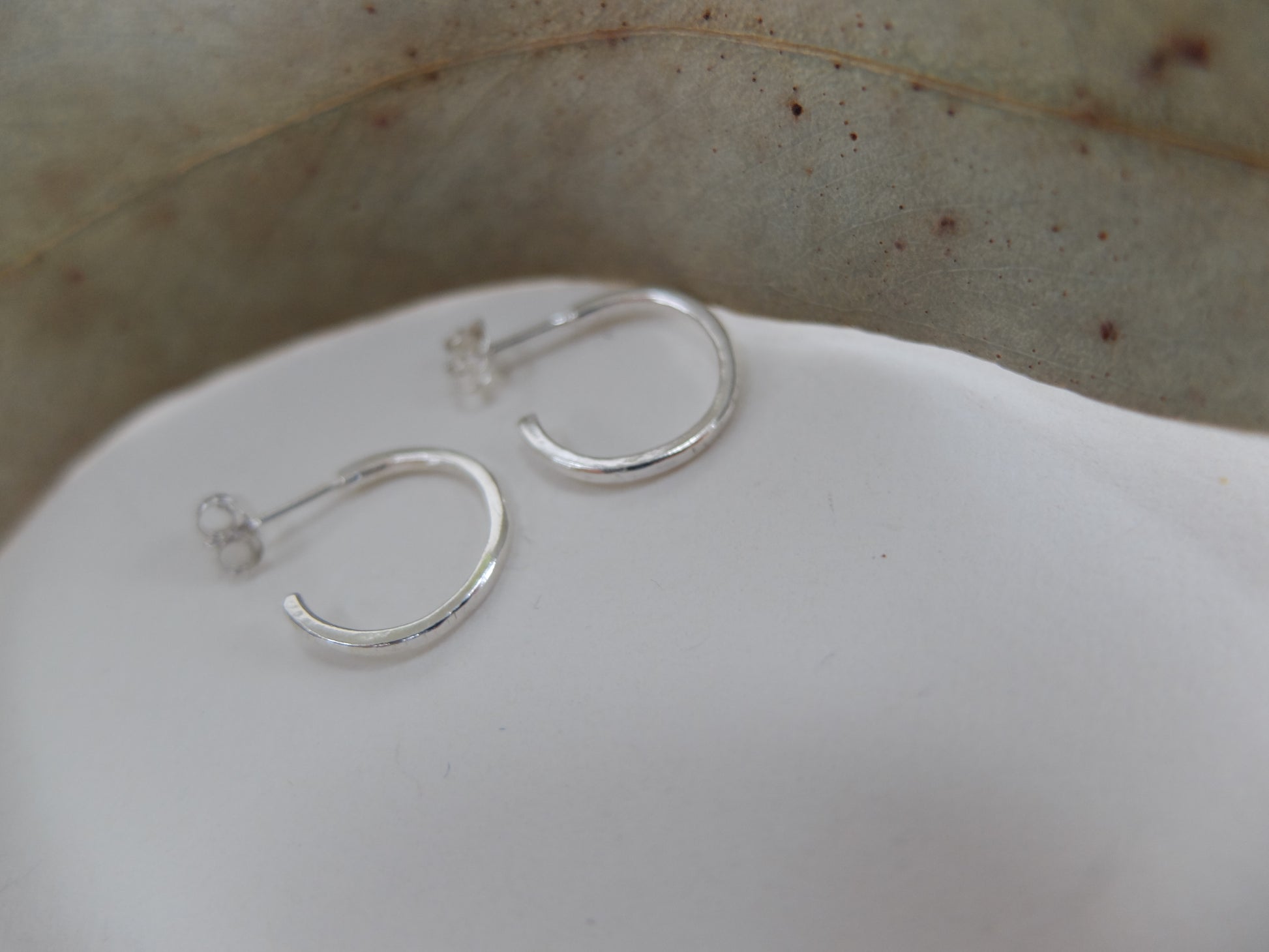 Silver hoop earrings on a white surface with a leaf in the background