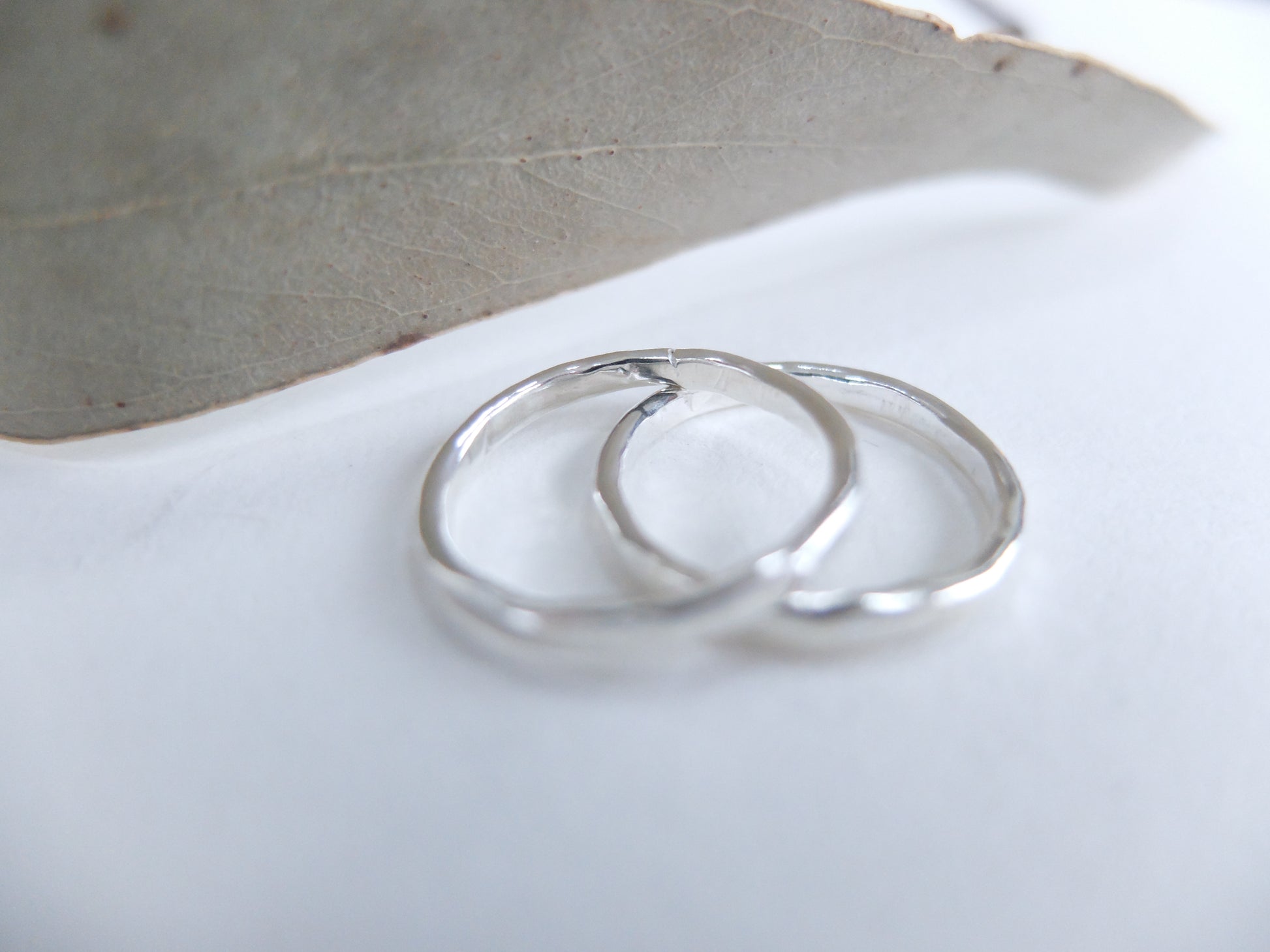 Two silver rings on a light gray surface with a leaf